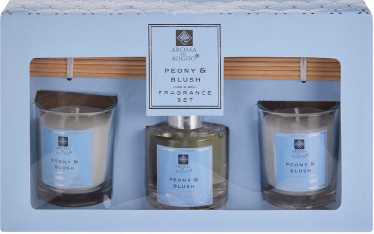 Excellent Houseware Floral Diffuser Set (100 ml)